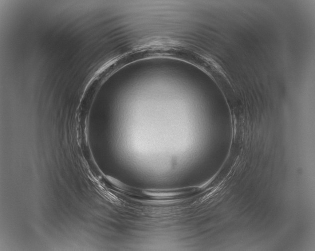 X0000057581018200509161056