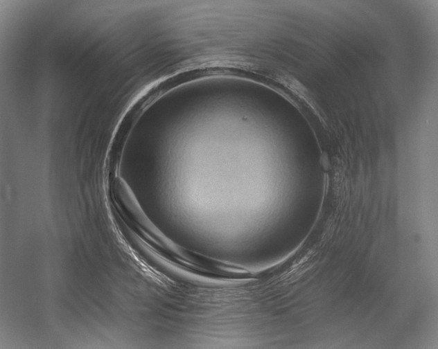 X0000057581024200509161056