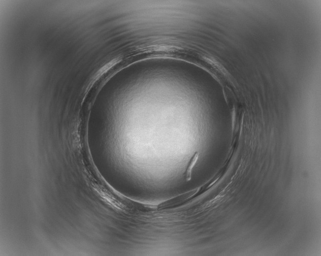 X0000057581026200509161056