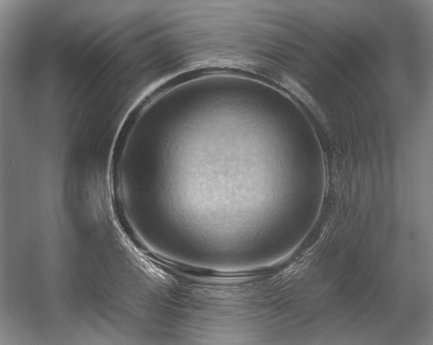 X0000057581028200509161056