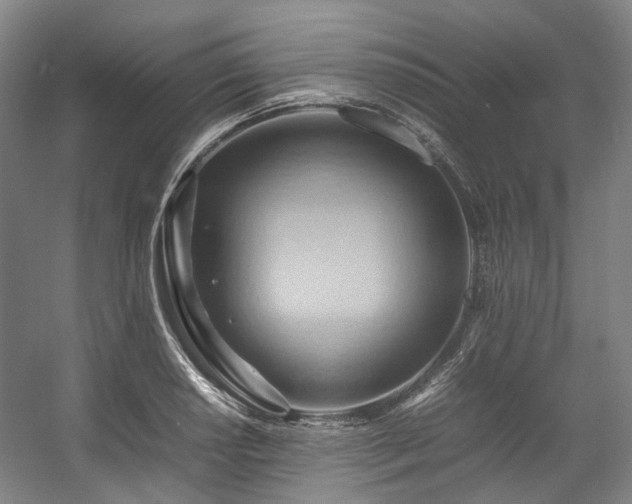 X0000057581034200509161056