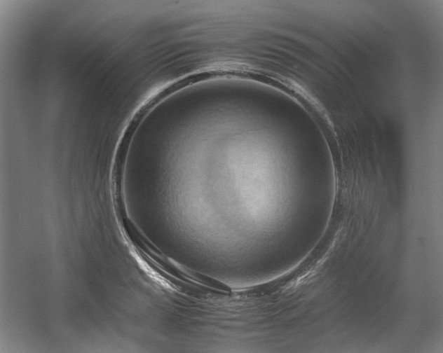 X0000057581037200509161057