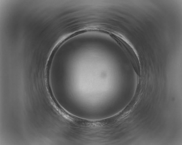 X0000057581045200509161057