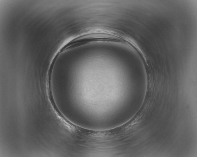 X0000057581048200509161057