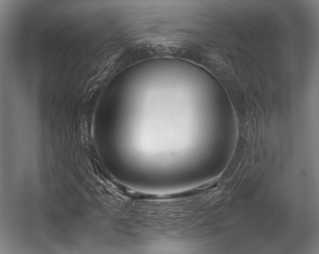 X0000057581061200509161056