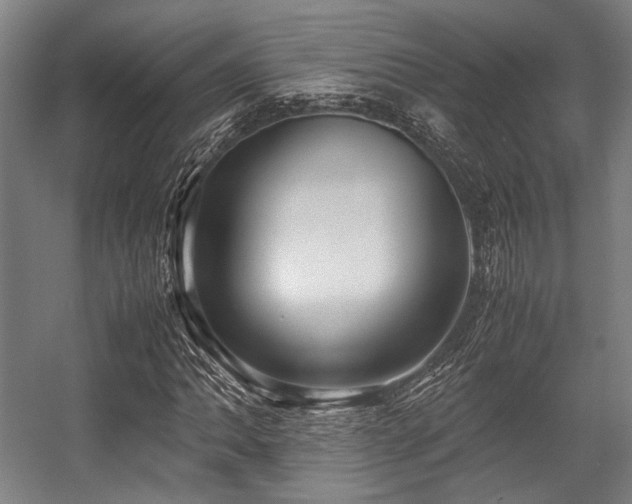 X0000057581062200509161056
