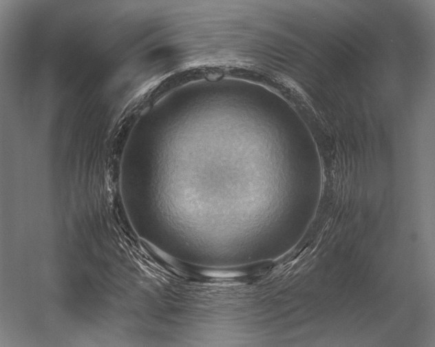 X0000057581064200509161056