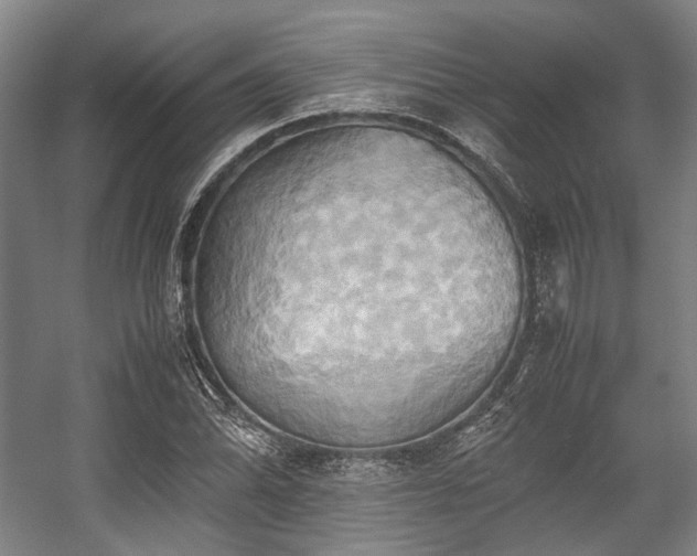 X0000057581070200509161056