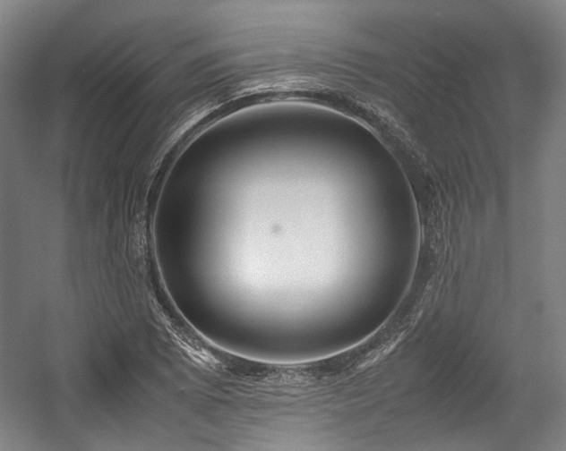 X0000057581073200509161056