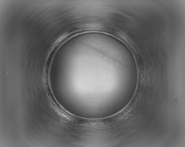 X0000057581074200509161056