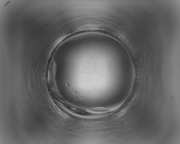 X0000057581081200509161056