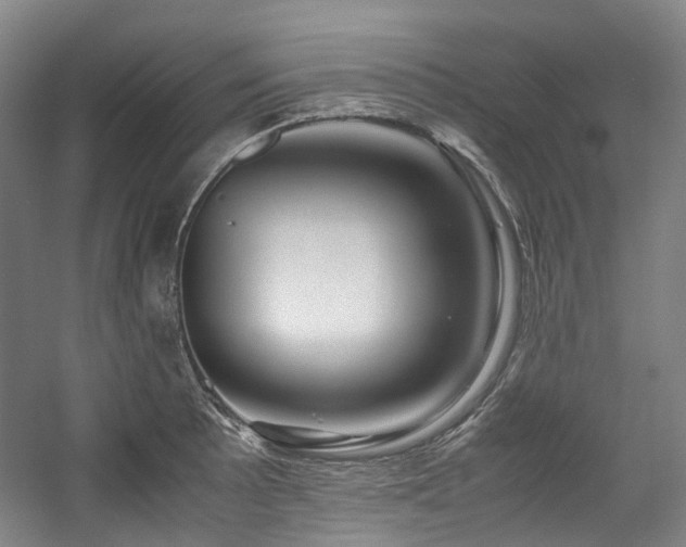 X0000057581089200509161055