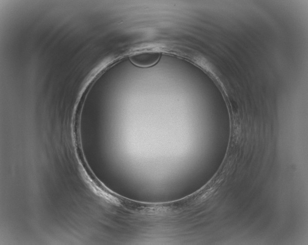 X0000057581090200509161055