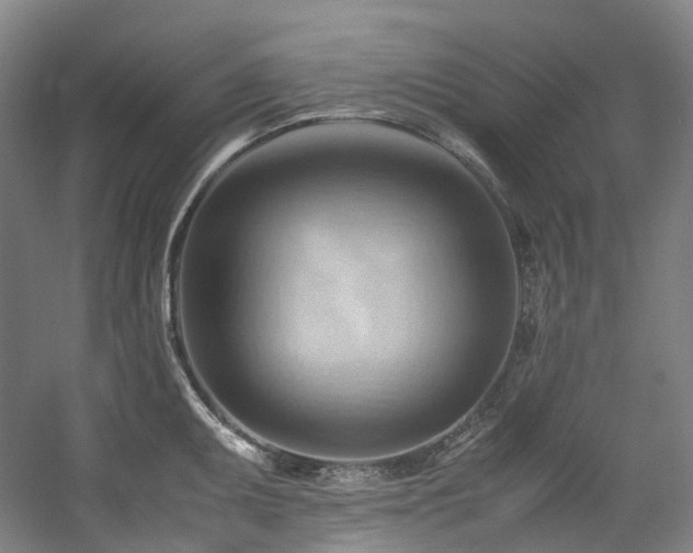 X0000057581095200509161055