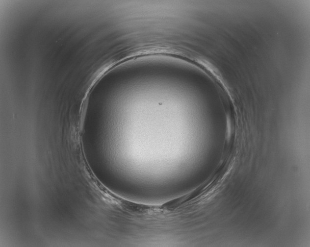 X0000057581097200509161055