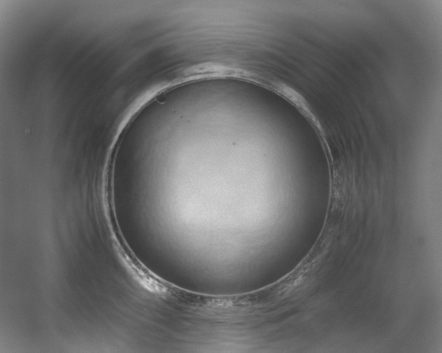 X0000057581098200509161055