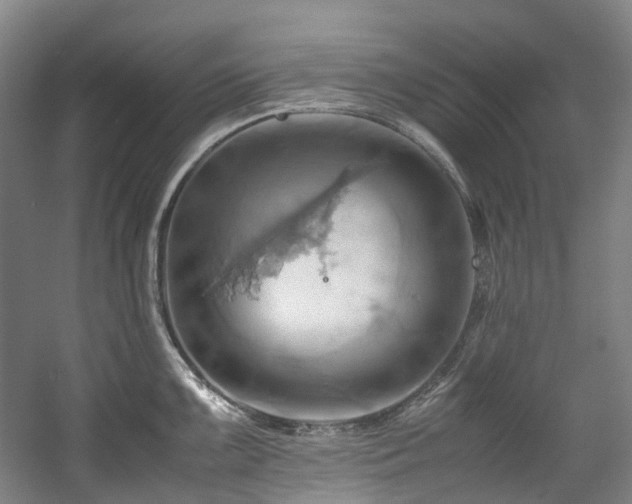 X0000057581099200509161055