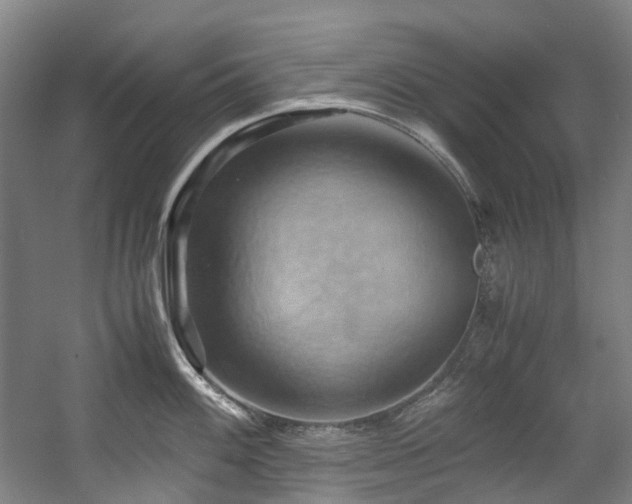 X0000057581100200509161055