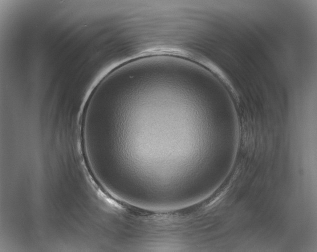 X0000057581102200509161055