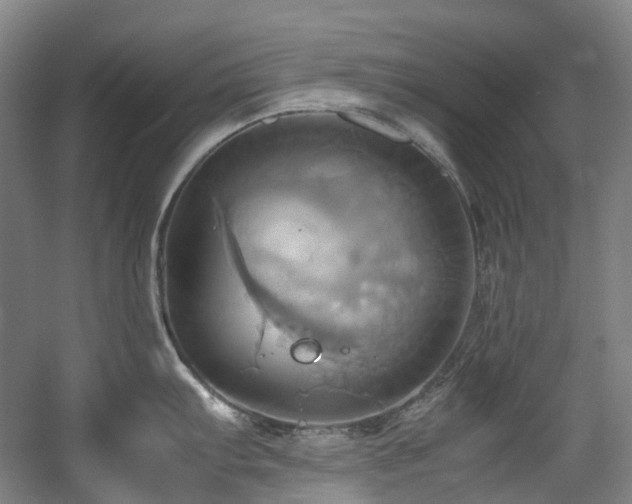 X0000057581103200509161055