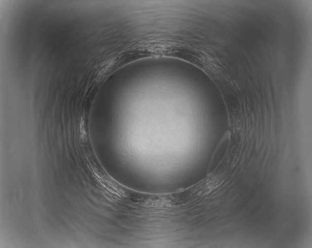 X0000057581106200509161054