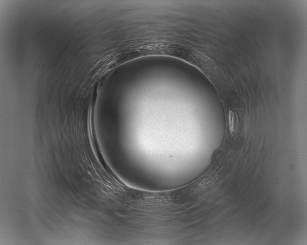 X0000057581107200509161054
