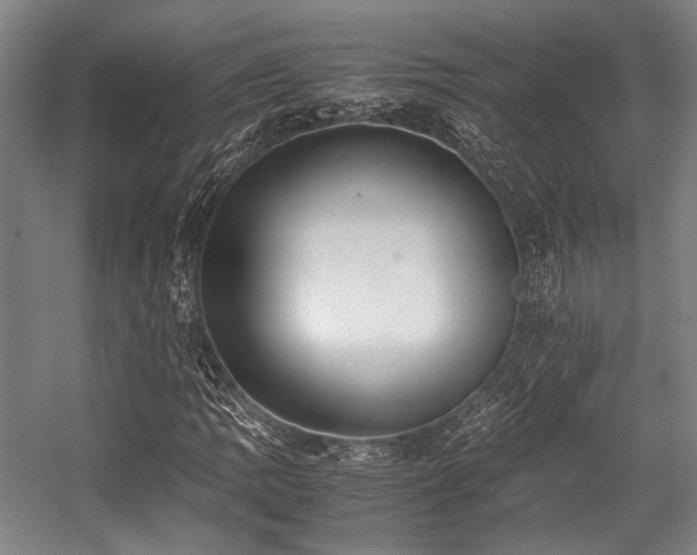 X0000057581109200509161055