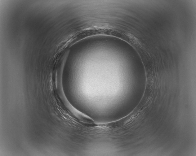 X0000057581110200509161055