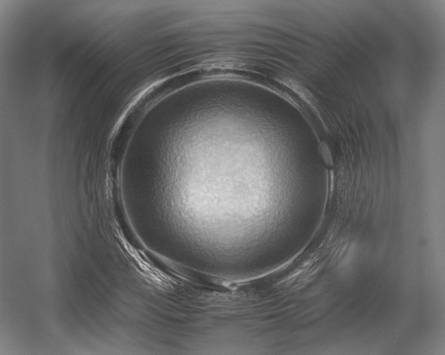 X0000057581115200509161055