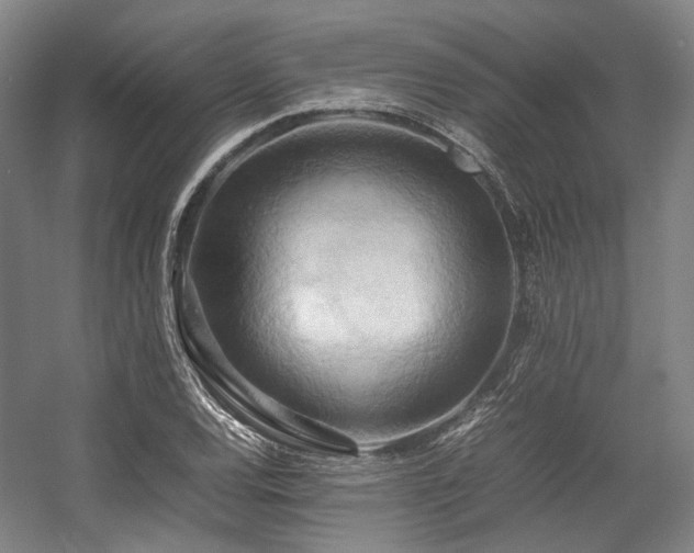 X0000057581120200509161055