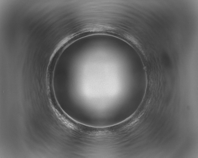 X0000057581122200509161055