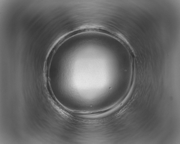 X0000057581124200509161055