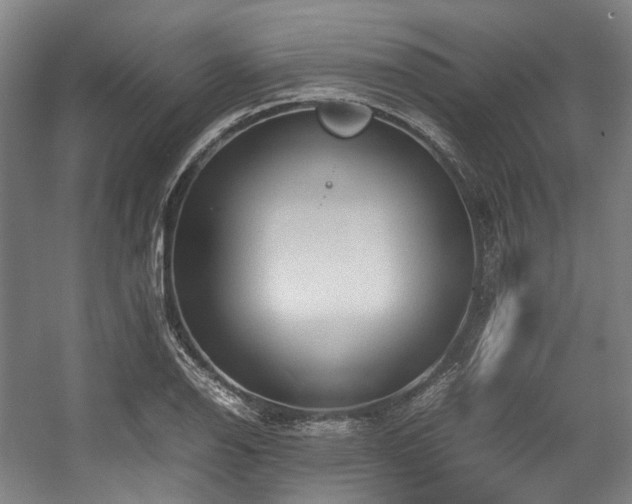 X0000057581126200509161055