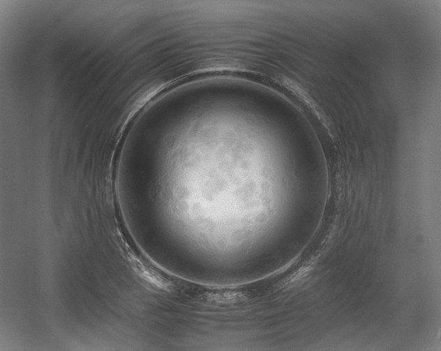 X0000057581129200509161055