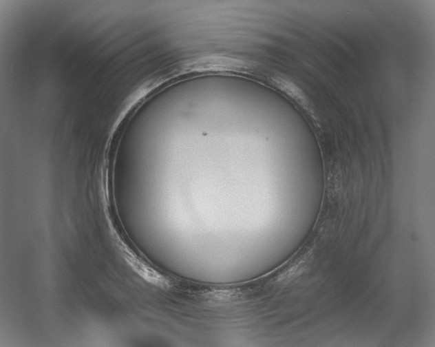 X0000057581130200509161055