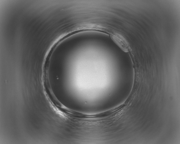 X0000057581136200509161055