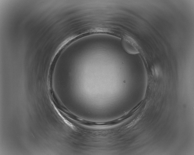 X0000057581141200509161055