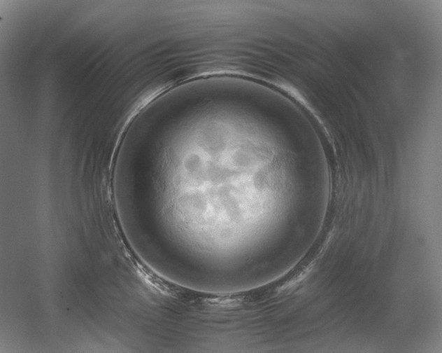 X0000057581145200509161055