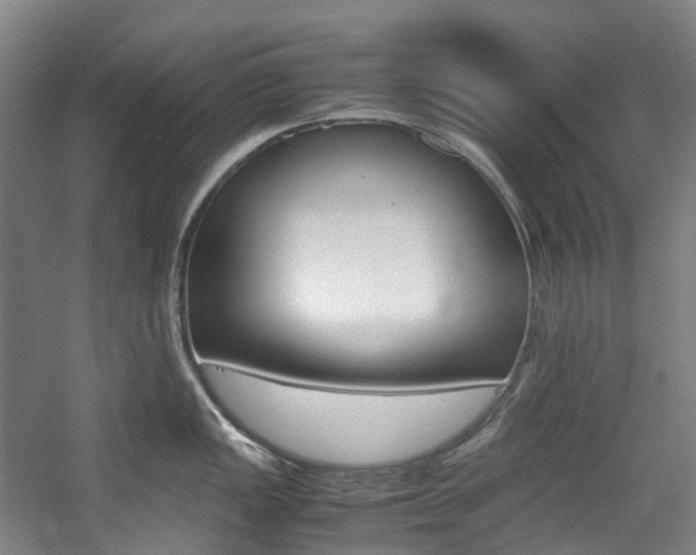 X0000057581149200509161055