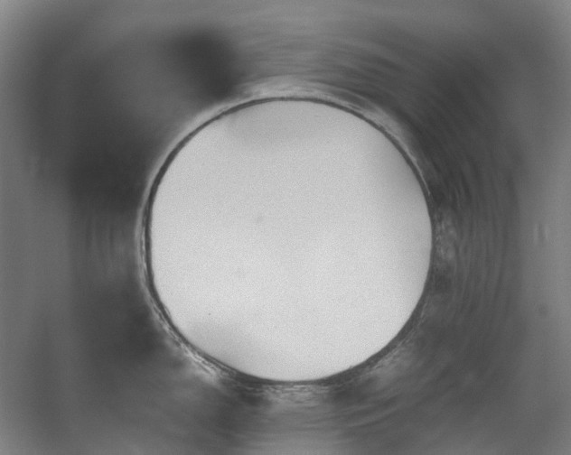 X0000057581150200509161055