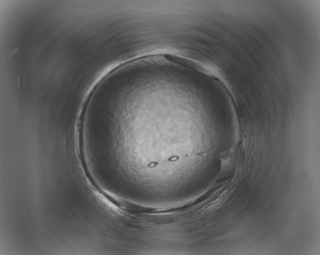 X0000057581151200509161055