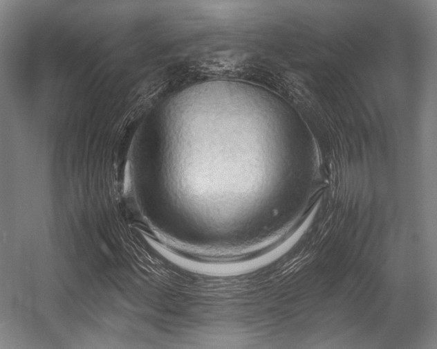 X0000057581156200509161054