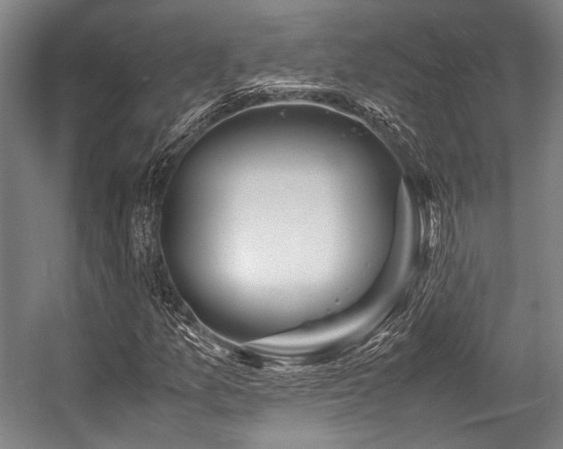 X0000057581157200509161054