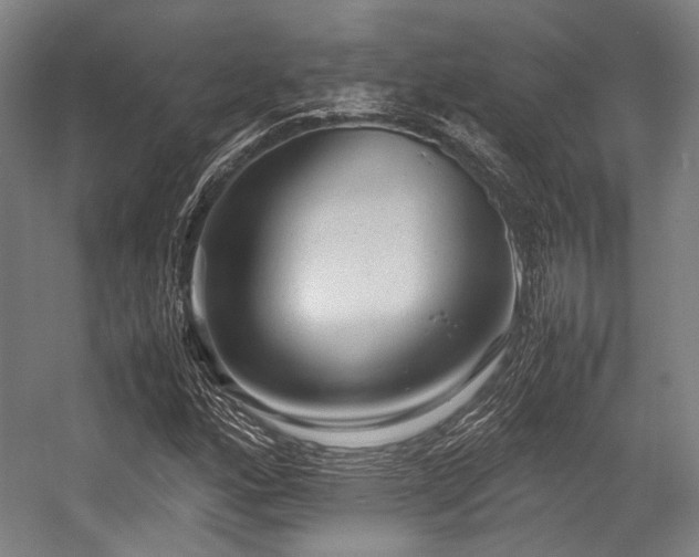 X0000057581160200509161054