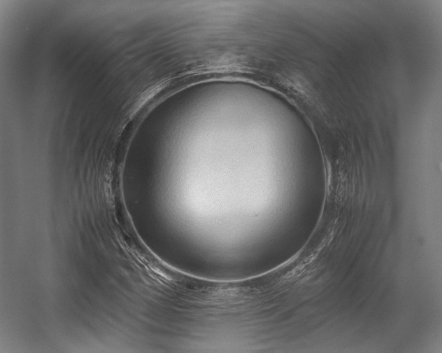 X0000057581162200509161054