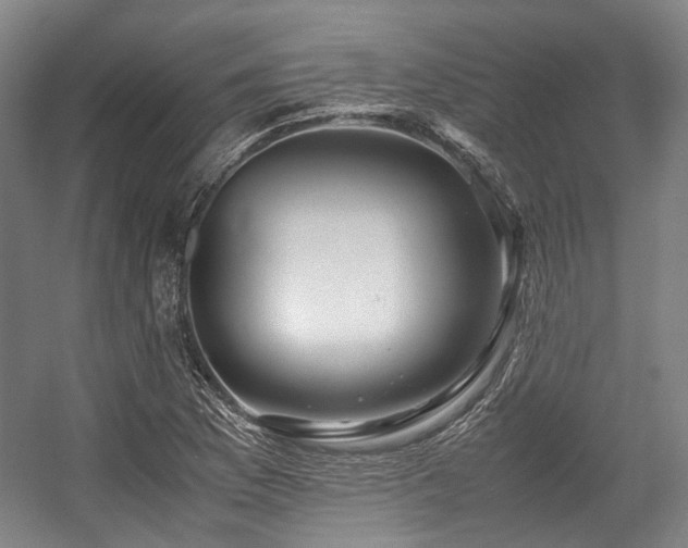 X0000057581169200509161054