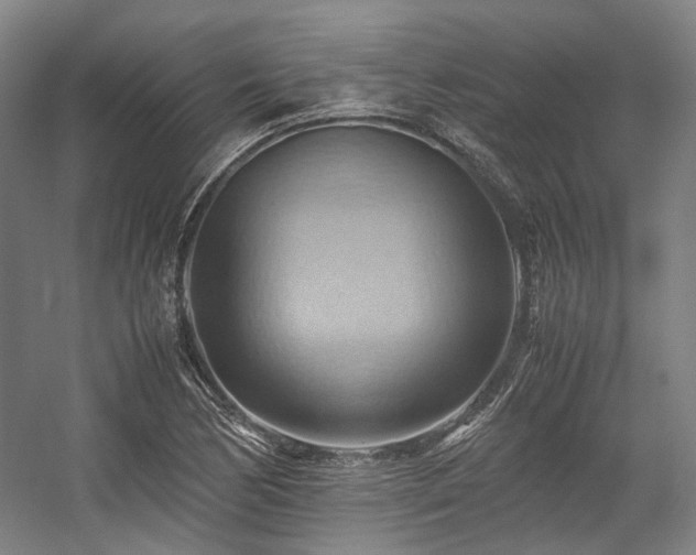 X0000057581170200509161054