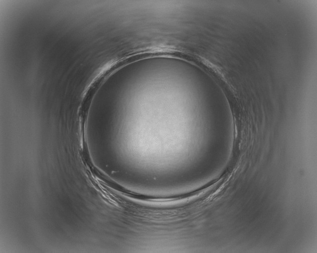 X0000057581171200509161054