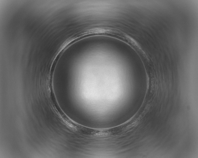 X0000057581178200509161054