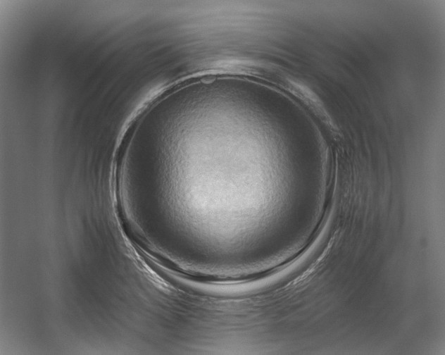 X0000057581180200509161054